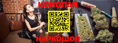 бошки Камышлов