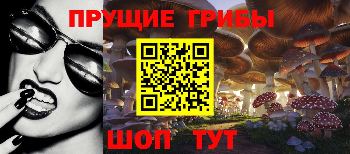Псилоцибиновые грибы мухоморы  Псилоцибиновые грибы MAGIC MUSHROOMS  Южноуральск  Вход с VPN 