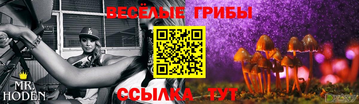 Галлюциногенные грибы Psilocybe Южноуральск